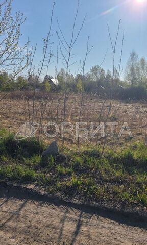 р-н Центральный снт Поле чудес ул Зеленая фото