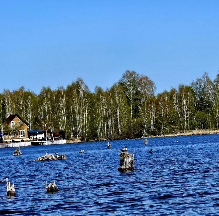 земля р-н Шелеховский п Баушево Баклашинское муниципальное образование, с. Введенщина фото 7