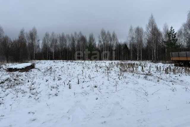 земля д Малый Кугунур ул Полевая Марковское сельское поселение фото