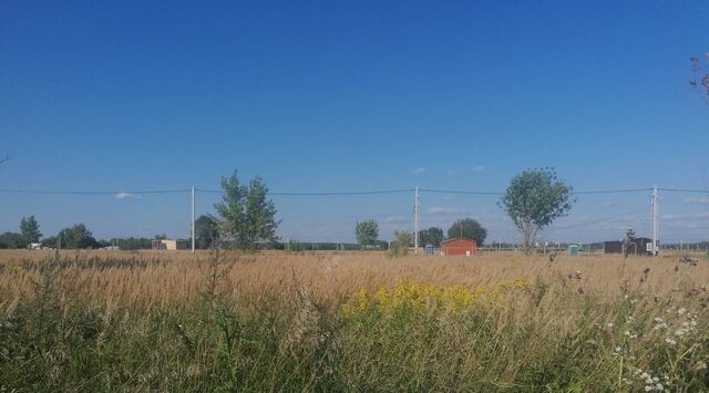 Воскресенск городской округ, Чайка дп фото