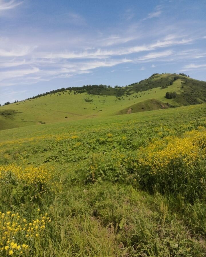 земля р-н Солонешенский с Солонешное река Карама фото 3