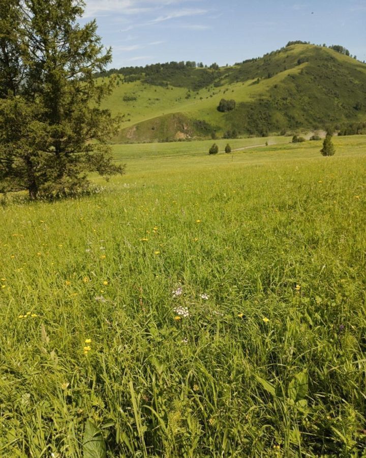 земля р-н Солонешенский с Солонешное река Карама фото 9