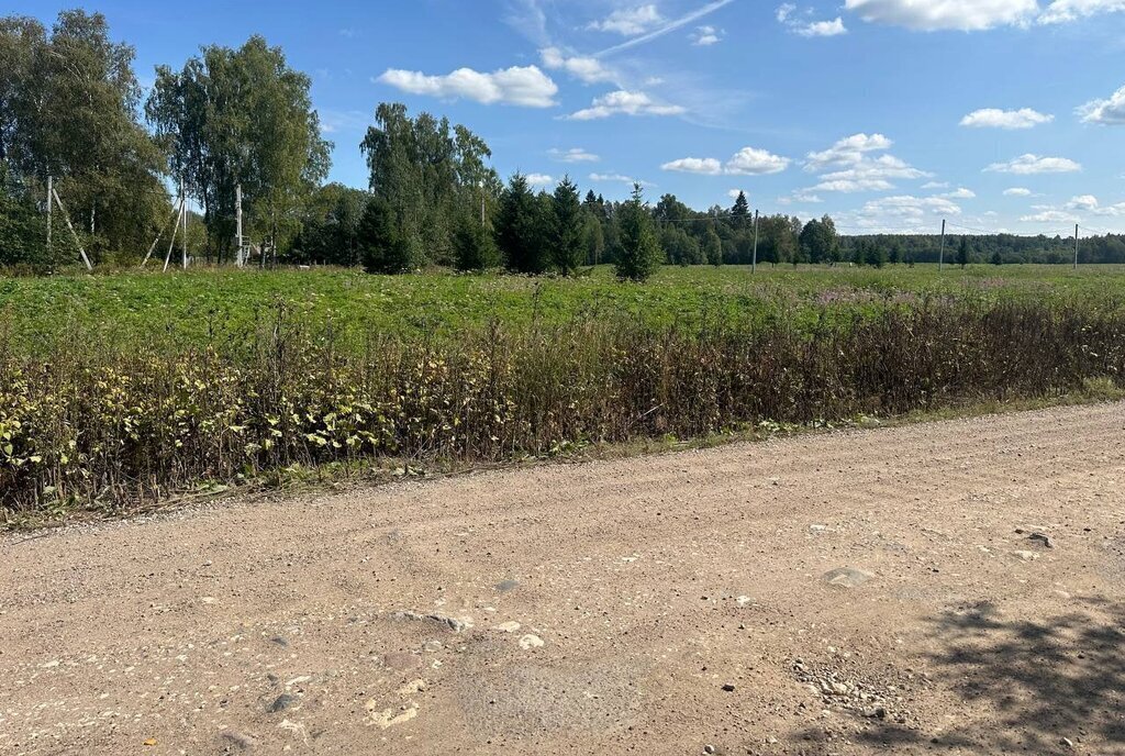 земля городской округ Клин д Малеевка фото 14