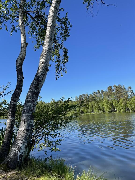 гостиницу р-н Приозерский п Плодовое д. 2, Ул. Ленинградская, Плодовское поселение фото 23