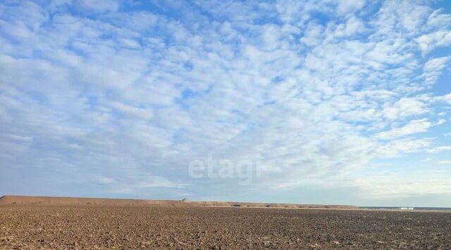 ул Конрадская фото