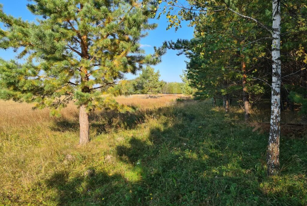 земля р-н Нижнетавдинский д Московка КП Чехов фото 4