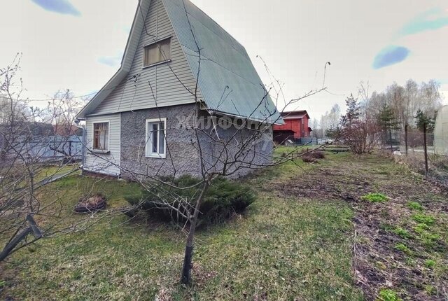 садовое товарищество Три Сестры фото