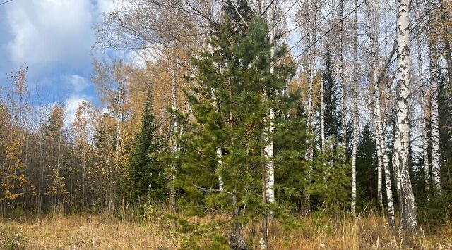 п Мурзинка ул Железнодорожная фото