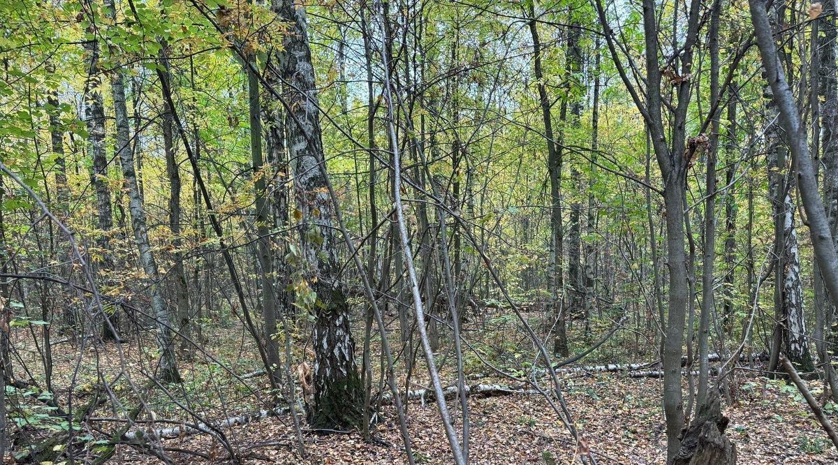 офис городской округ Богородский г Ногинск фото 2