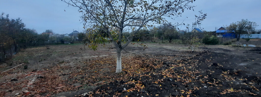 земля р-н Динской ст-ца Нововеличковская ул Школьная Нововеличковское сельское поселение фото 1