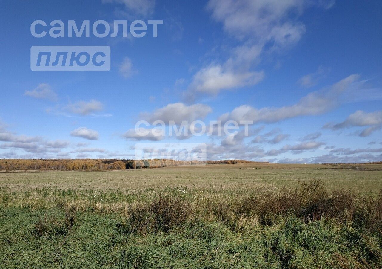 земля р-н Собинский д Юрино муниципальное образование Воршинское, Владимир фото 7