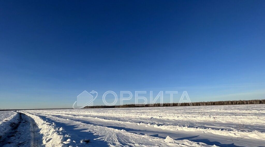 земля р-н Тюменский с Горьковка ул Сибирская фото 2