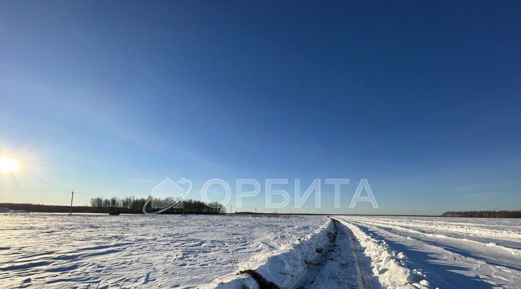 земля р-н Тюменский с Горьковка ул Сибирская фото 4