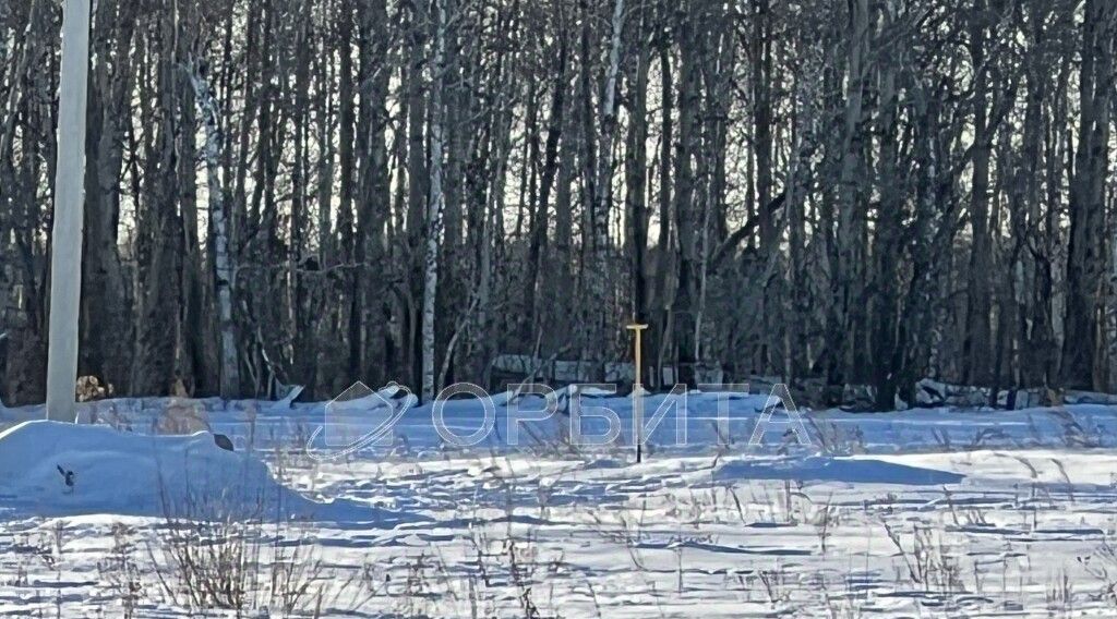 земля р-н Тюменский с Горьковка ул Сибирская фото 3