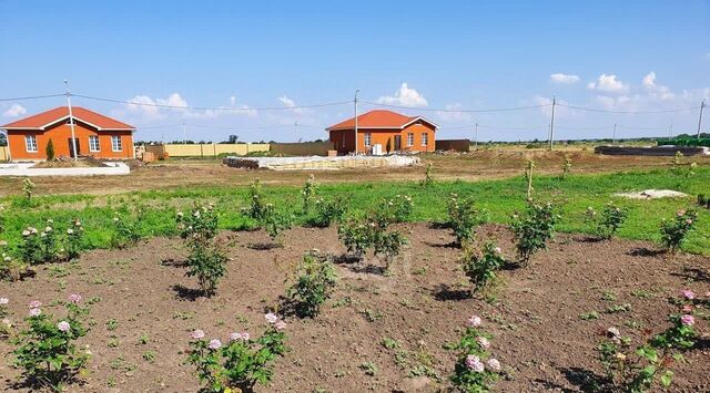 земля ул Украинская Новоалександровское сельское поселение фото