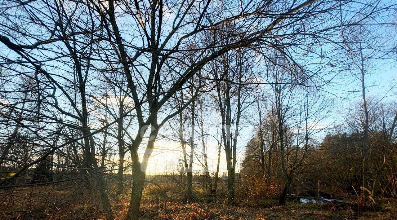 офис городской округ Чехов д Попово 1 фото 8