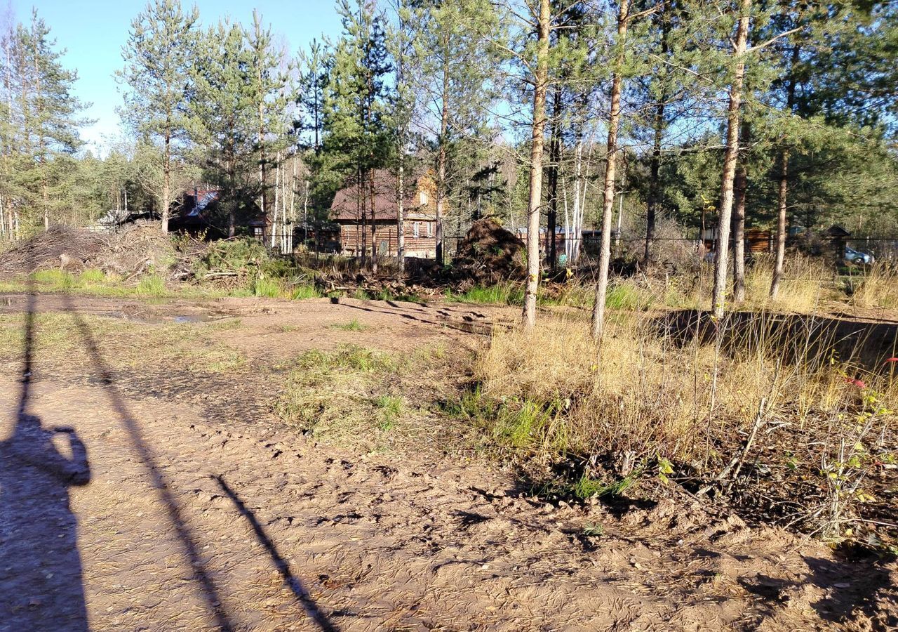 земля р-н Новгородский рп Пролетарий Савинское сельское поселение, Факел, садоводческое товарищество фото 13