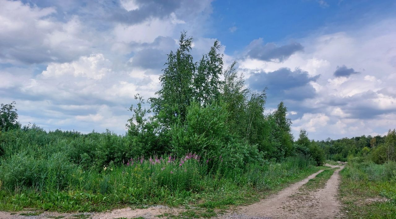 земля р-н Тосненский г Никольское Никольское городское поселение фото 1