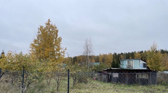 Свердловское городское поселение, ДНТ, Пролетарская, пос. Красная Заря, Рабочий фото