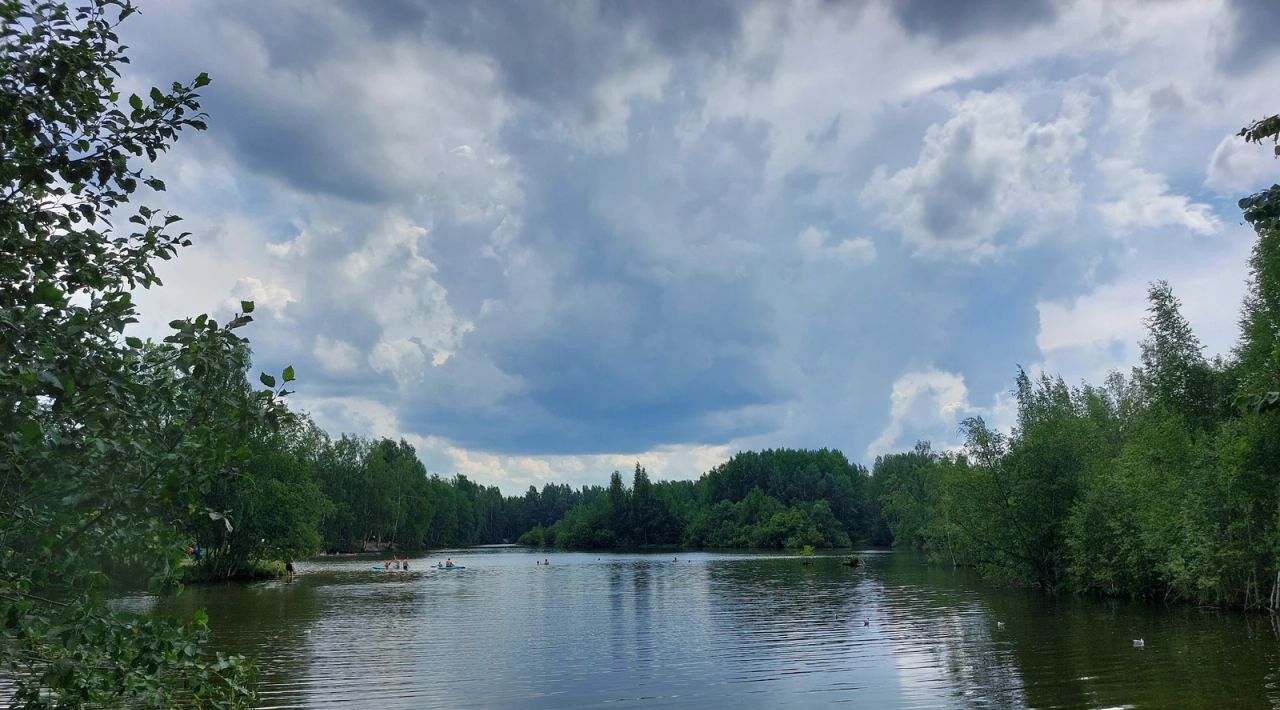 земля р-н Тосненский г Никольское Никольское городское поселение фото 3