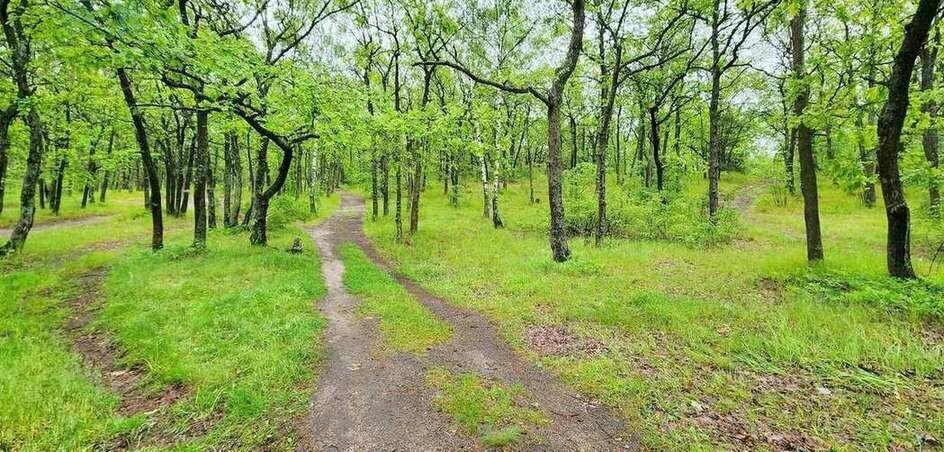 квартира г Воронеж р-н Коминтерновский ул Екатерины Зеленко 22а фото 15