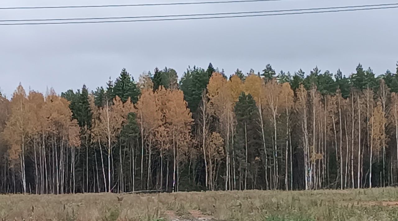 земля р-н Новгородский д Сопки ул Береговая Савинское с/пос фото 1