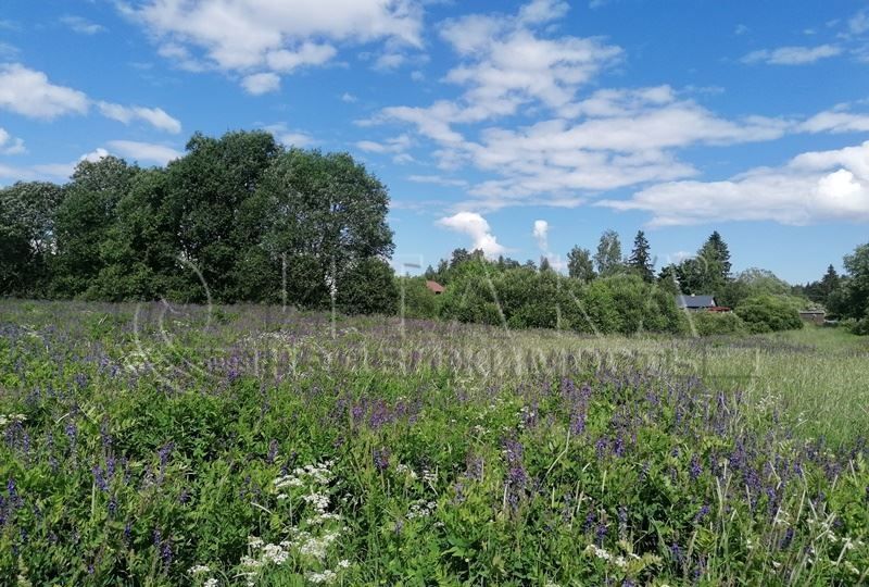 земля р-н Приозерский п Кузнечное Трасса Сортавала, 9838 км, Севастьяновское сельское поселение фото 14