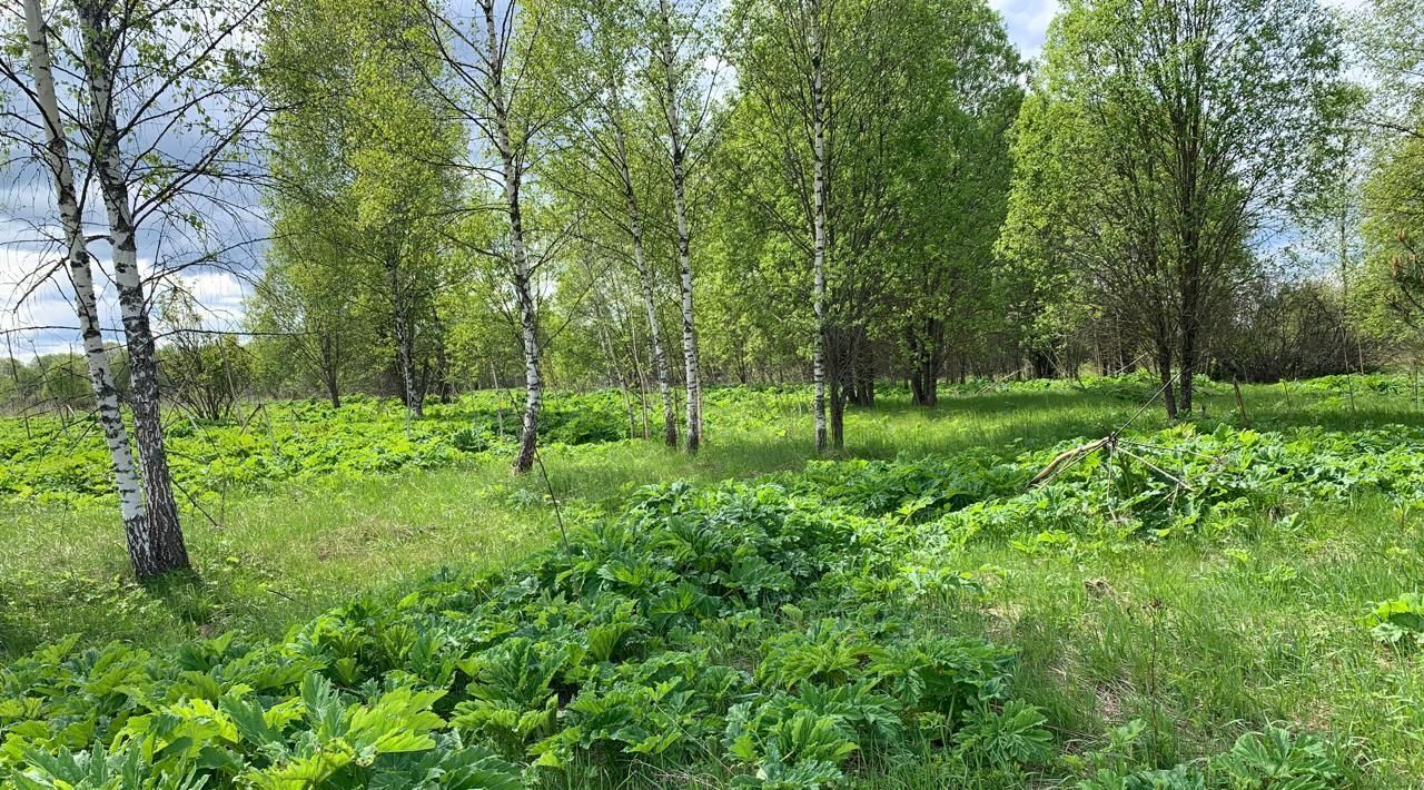 офис городской округ Можайский д Елево фото 1