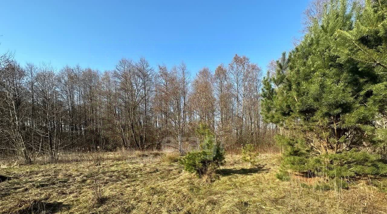 земля р-н Гвардейский п Березовка Гвардейский муниципальный округ фото 1