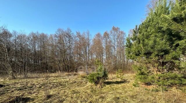 р-н Гвардейский п Березовка Гвардейский муниципальный округ фото