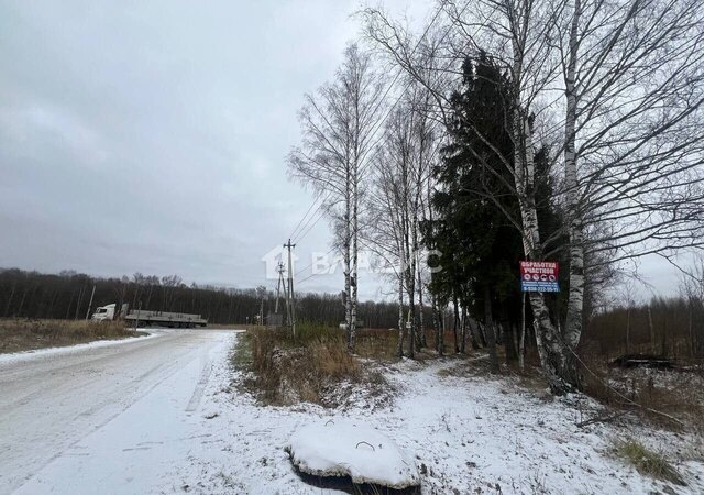 снт Александрия муниципальное образование Новоалександровское, Владимир фото