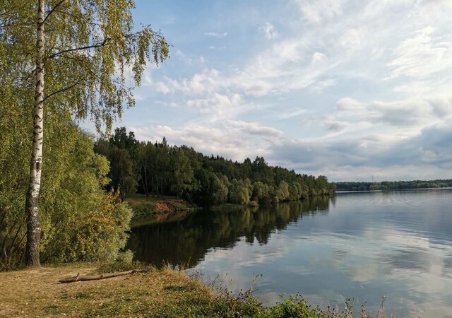 9815 км, ДНП Можайское Море, 231 вл 2, Можайск, Минское шоссе фото