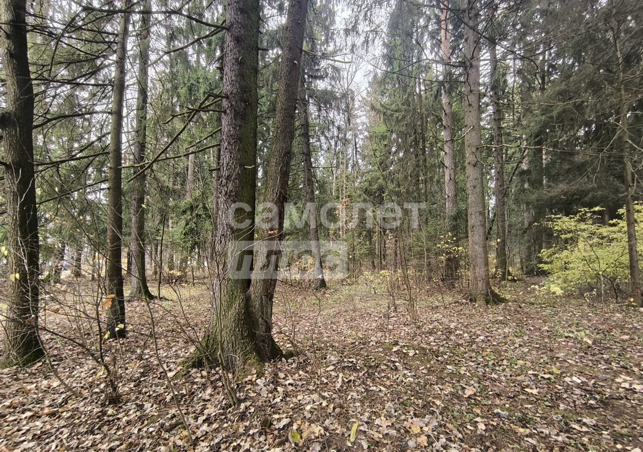 земля городской округ Одинцовский с Жаворонки дп терЖаворонки-1 21 км, Краснознаменск, Можайское шоссе фото 3