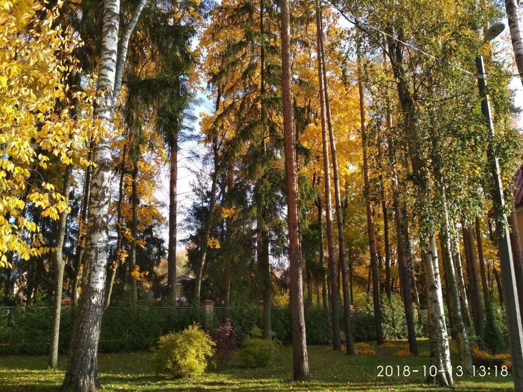 квартира г Павловск ул Детскосельская д. 4/2 фото 20