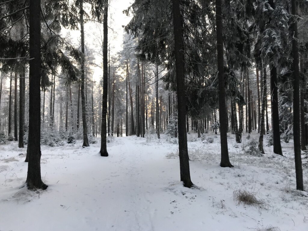 дом р-н Пудожский д Остров Любви, Суоярви фото 32