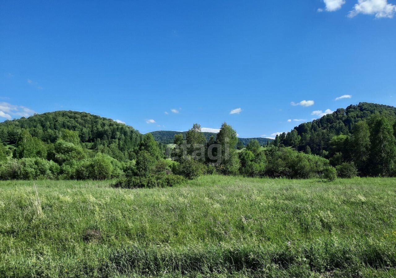 земля р-н Алтайский с Алтайское фото 3