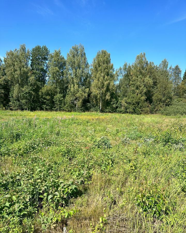 земля городской округ Клин д Вертково 68 км, Новопетровское, Новорижское шоссе фото 31