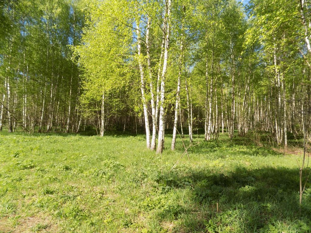 дом р-н Рамешковский с/п Застолбье д Свистуново Старицкий район фото 18