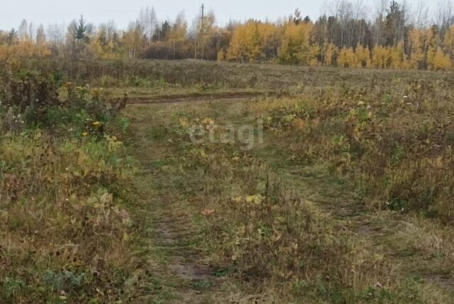 г Алапаевск ул Рубиновая фото