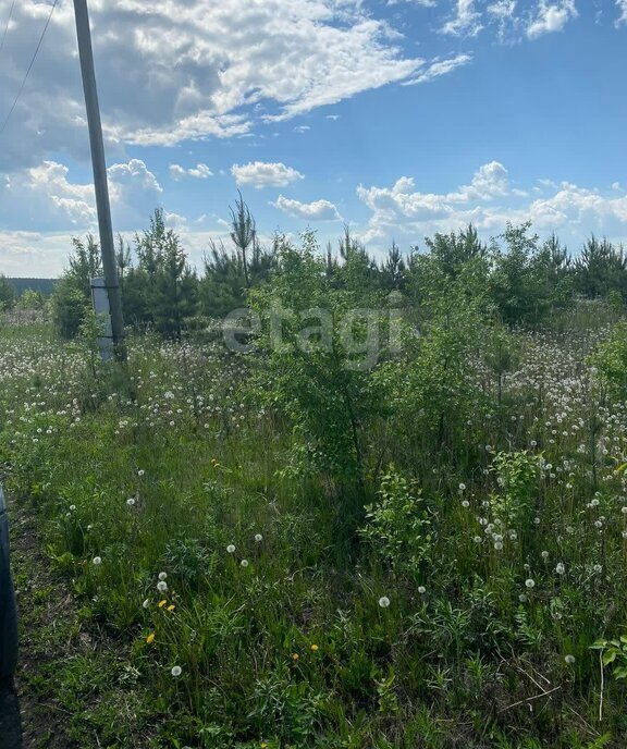 земля г Алапаевск ул Родонитовая фото 4