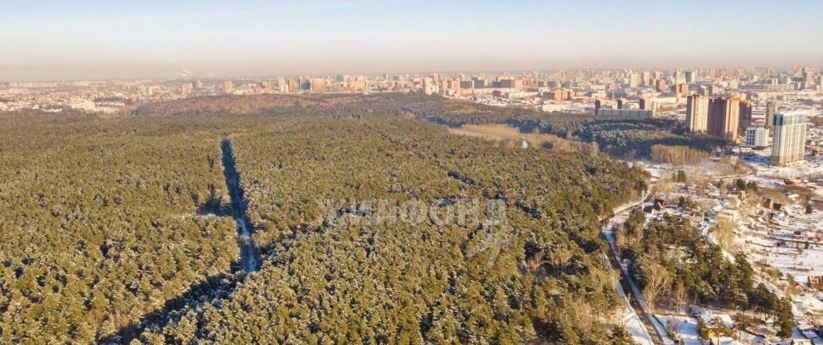 квартира г Новосибирск метро Площадь Гарина-Михайловского ул Сухарная 105/1 фото 11