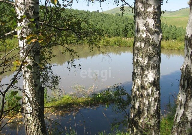 с Алтайское фото