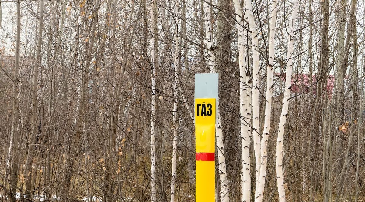 земля р-н Тюменский рп Богандинский фото 6