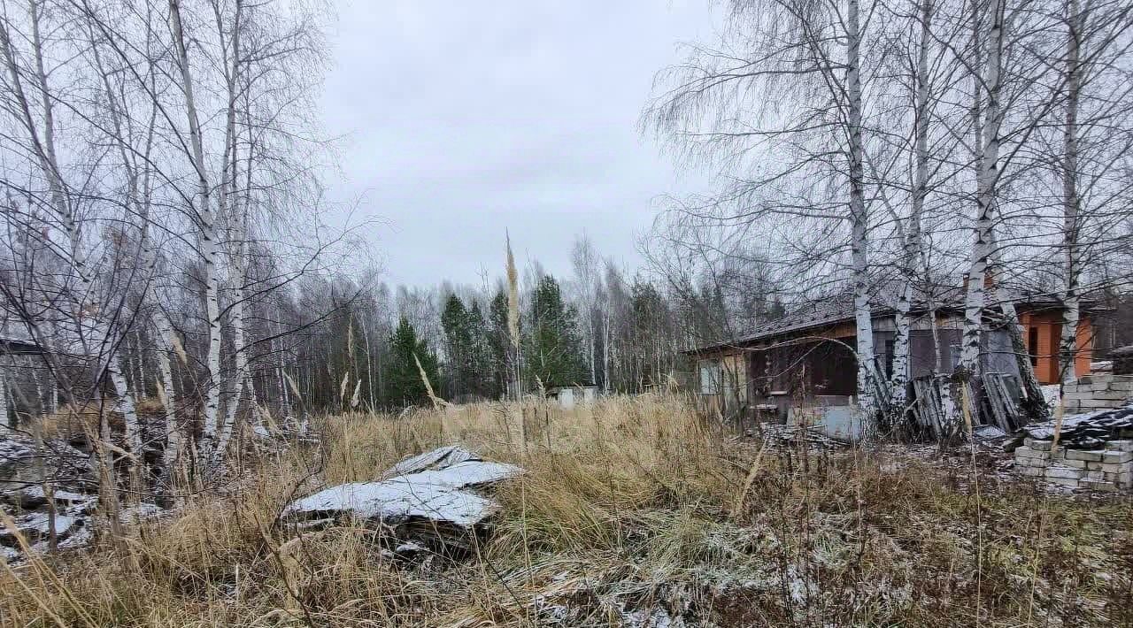 земля г Казань Татарстан садоводческое товарищество, Проспект Победы, 187 фото 5