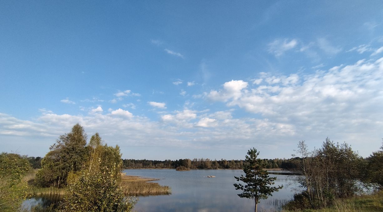 земля р-н Волосовский д Большой Сабск Сабское сельское поселение, 14, Кингисепп фото 2