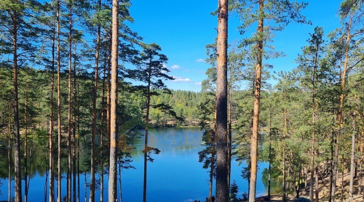 земля р-н Выборгский снт Лебедь Рощинское городское поселение фото 9