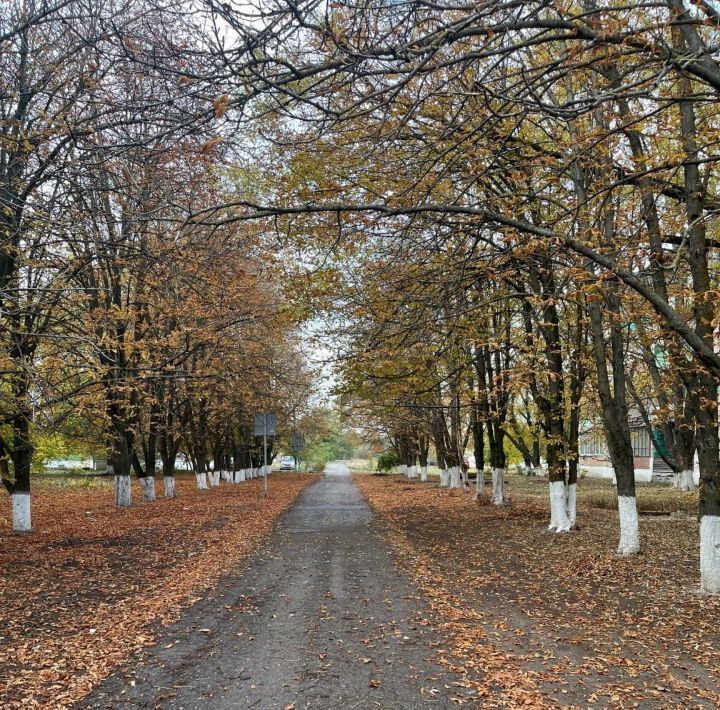 квартира р-н Зерноградский х Донской бул. Цветной, 63 фото 11