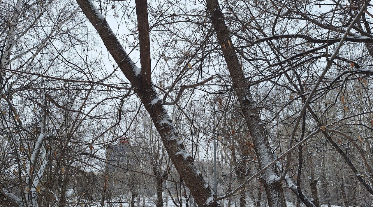 квартира г Екатеринбург р-н Октябрьский Геологическая ул Декабристов 9 фото 24