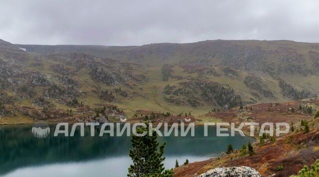 с Усть-Кокса ул Советская фото