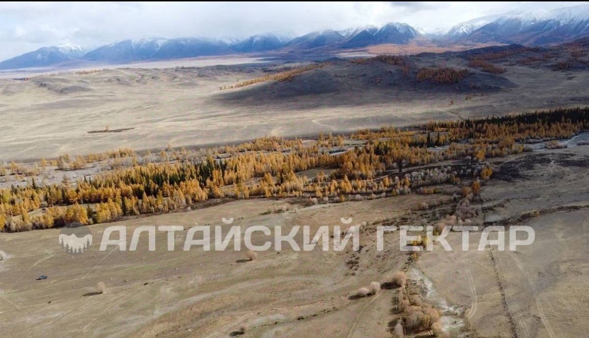 земля р-н Кош-Агачский с Курай ул Зеленая фото 9